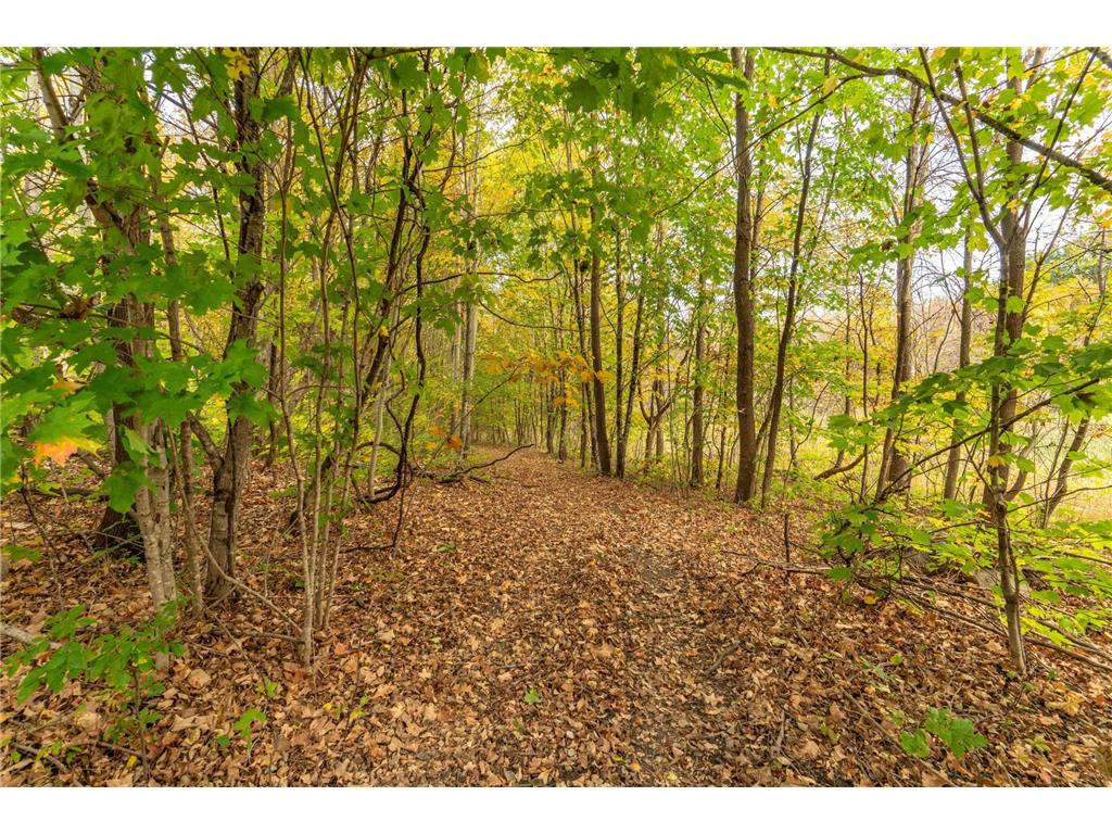 33003 County Hwy 27 Erhard MN 56534 7013890 image94