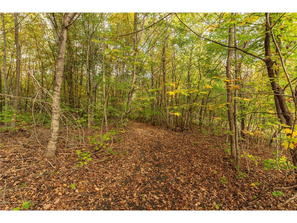 33003 County Hwy 27 Erhard MN 56534 7013890 image95