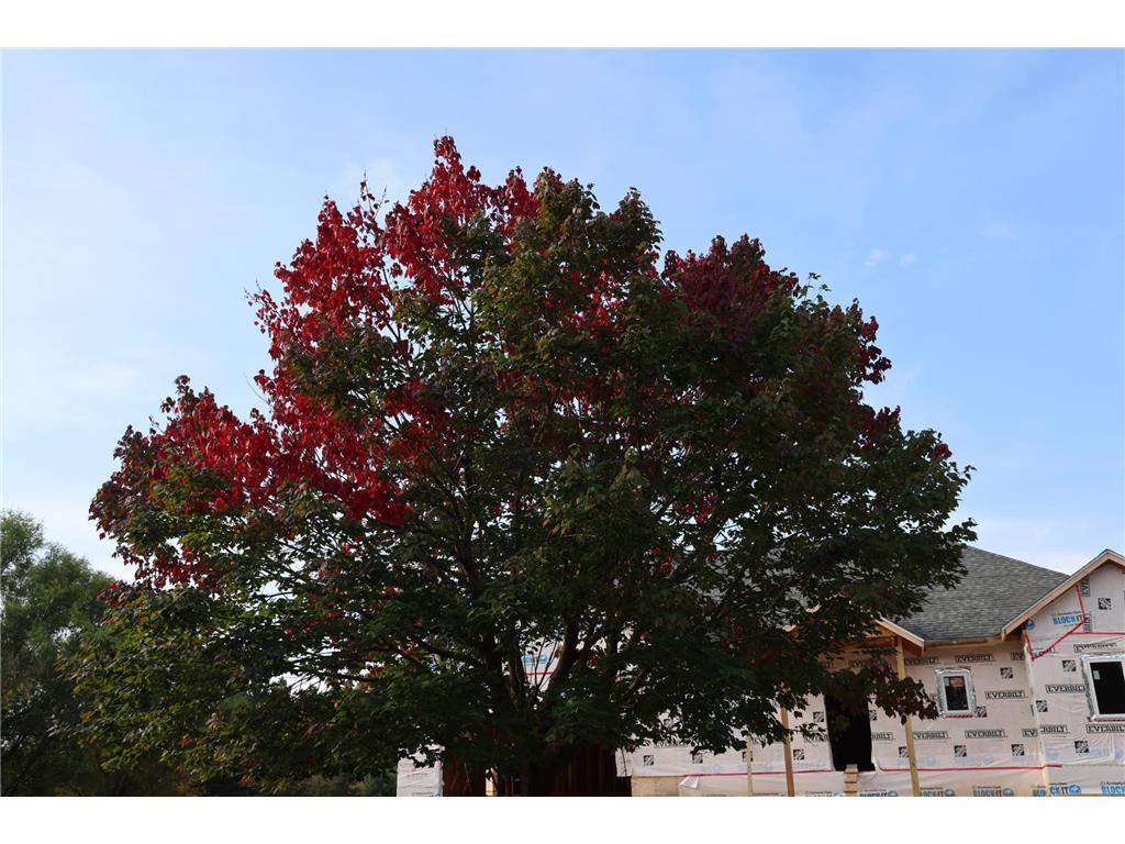 33006 Hilary Circle Cambridge Twp MN 55008 6726902 image10