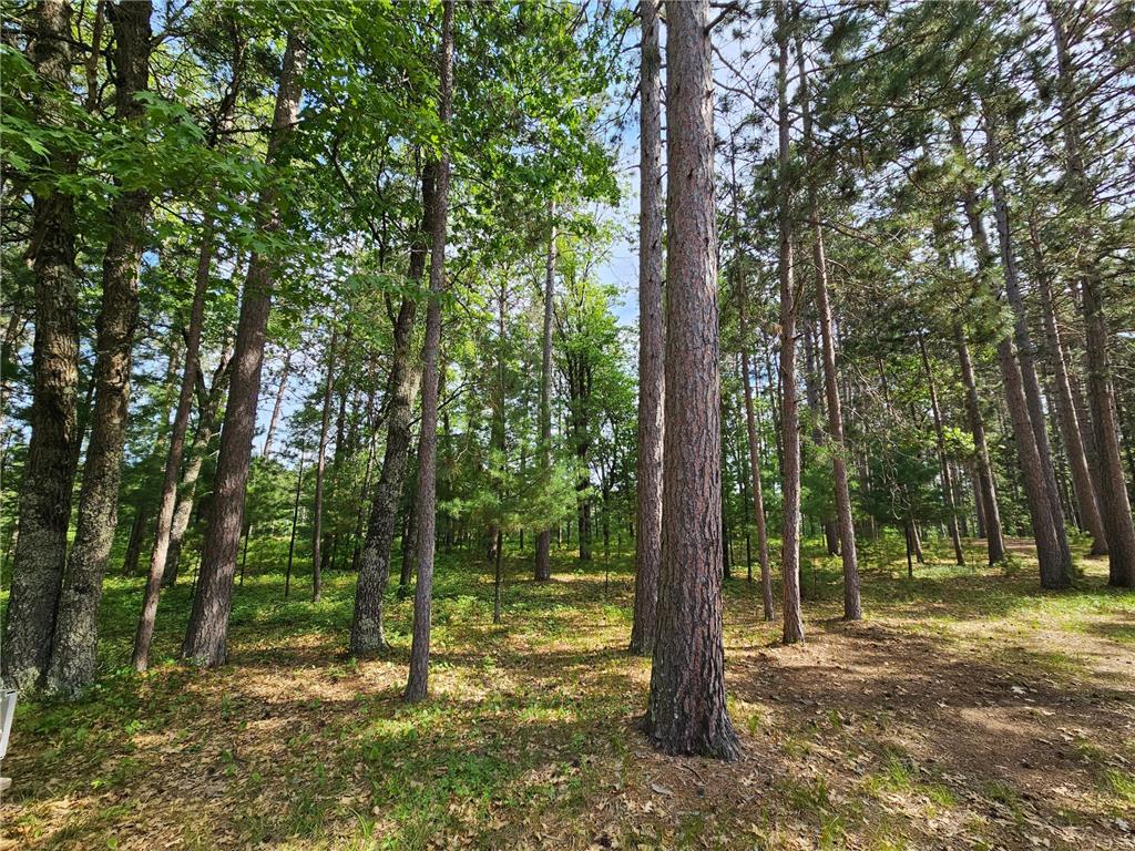 3307 State Road 77 Webb Lake WI 54830 7098892 image46