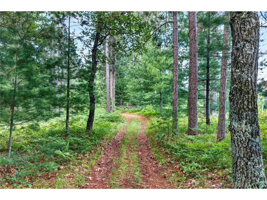 3307 State Road 77 Webb Lake WI 54830 7098892 image6