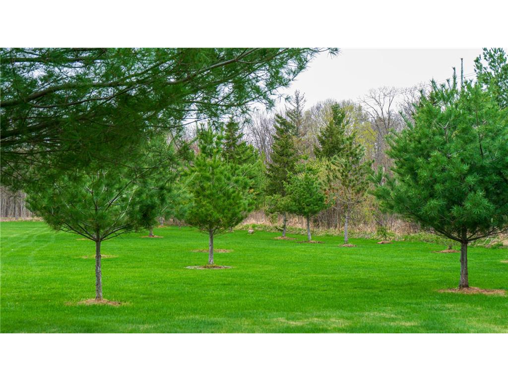 33071 Holly Road Pine City MN 55063 7066588 image32