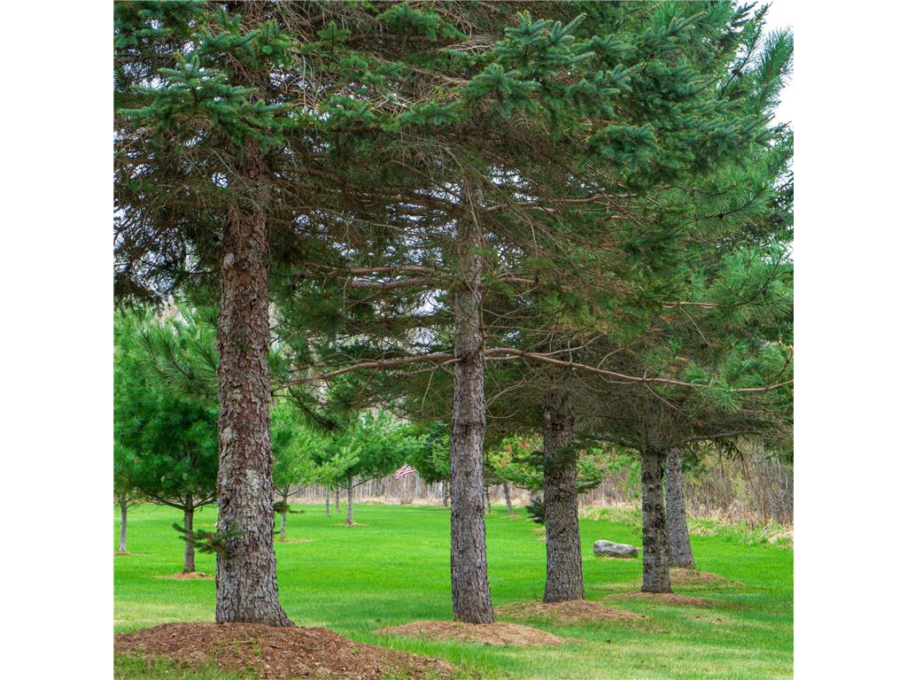 33071 Holly Road Pine City MN 55063 7066588 image33
