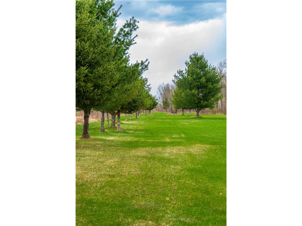 33071 Holly Road Pine City MN 55063 7066588 image34