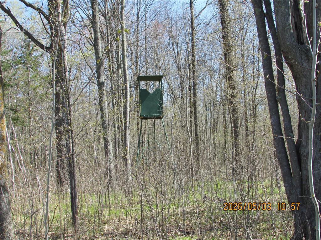 33071 Holly Road Pine City MN 55063 7066588 image43
