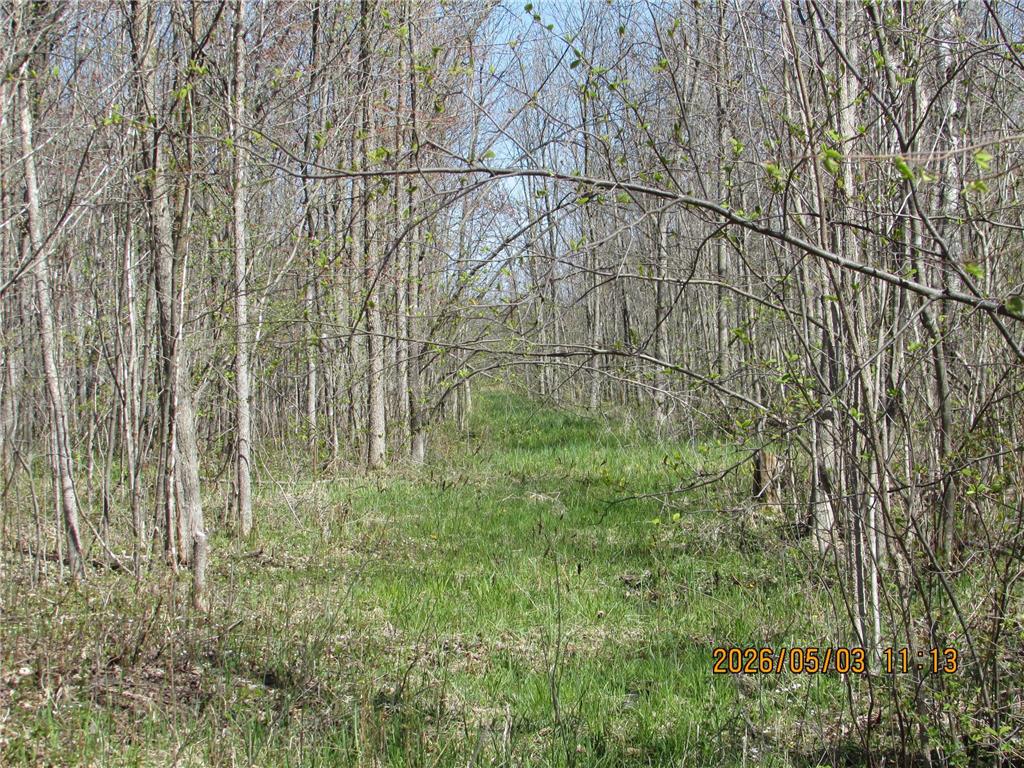 33071 Holly Road Pine City MN 55063 7066588 image45