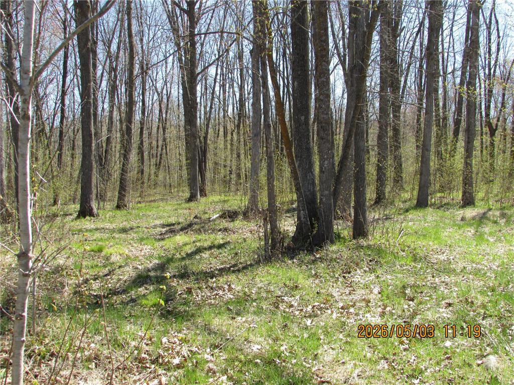 33071 Holly Road Pine City MN 55063 7066588 image46