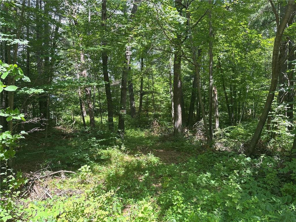 33073 Aspen Lane Motley MN 56466 6756991 image1