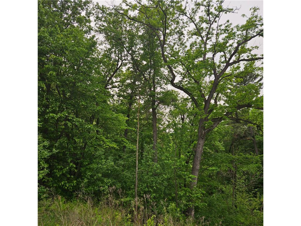 TBD 330th Avenue Weston Twp WI 54740 6730245 image1