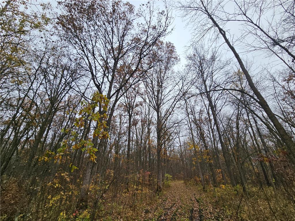 330th st 330th st Onamia MN 56359 6807868 image16