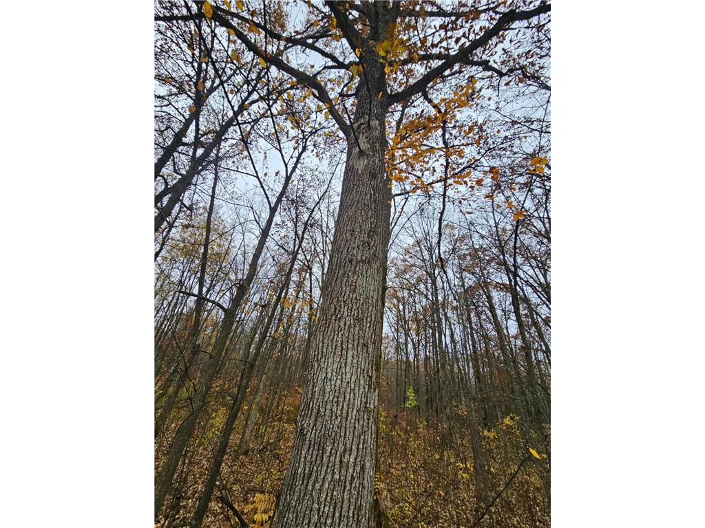 330th st 330th st Onamia MN 56359 6807868 image17