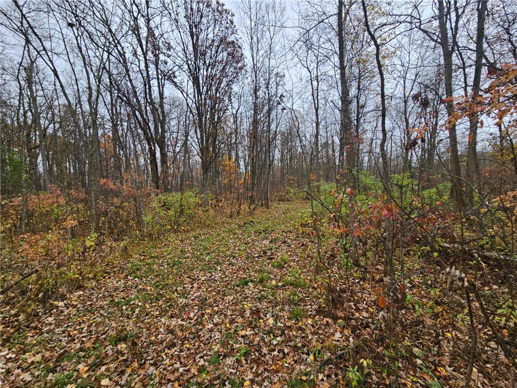 330th st 330th st Onamia MN 56359 6807868 image18