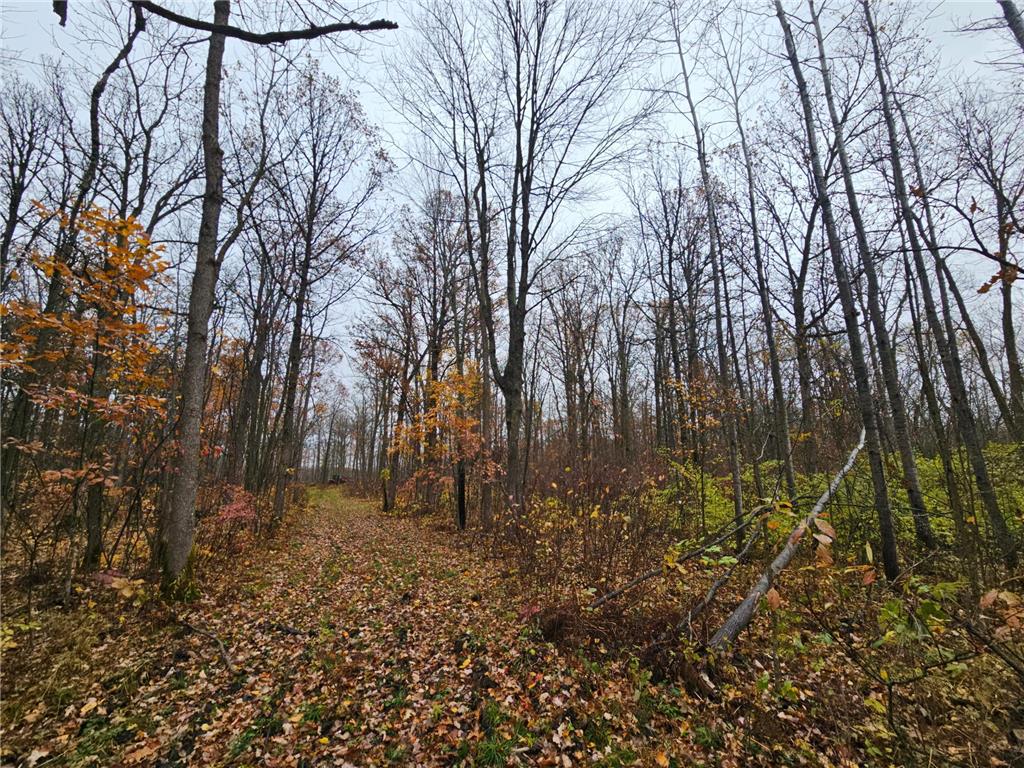 330th st 330th st Onamia MN 56359 6807868 image20