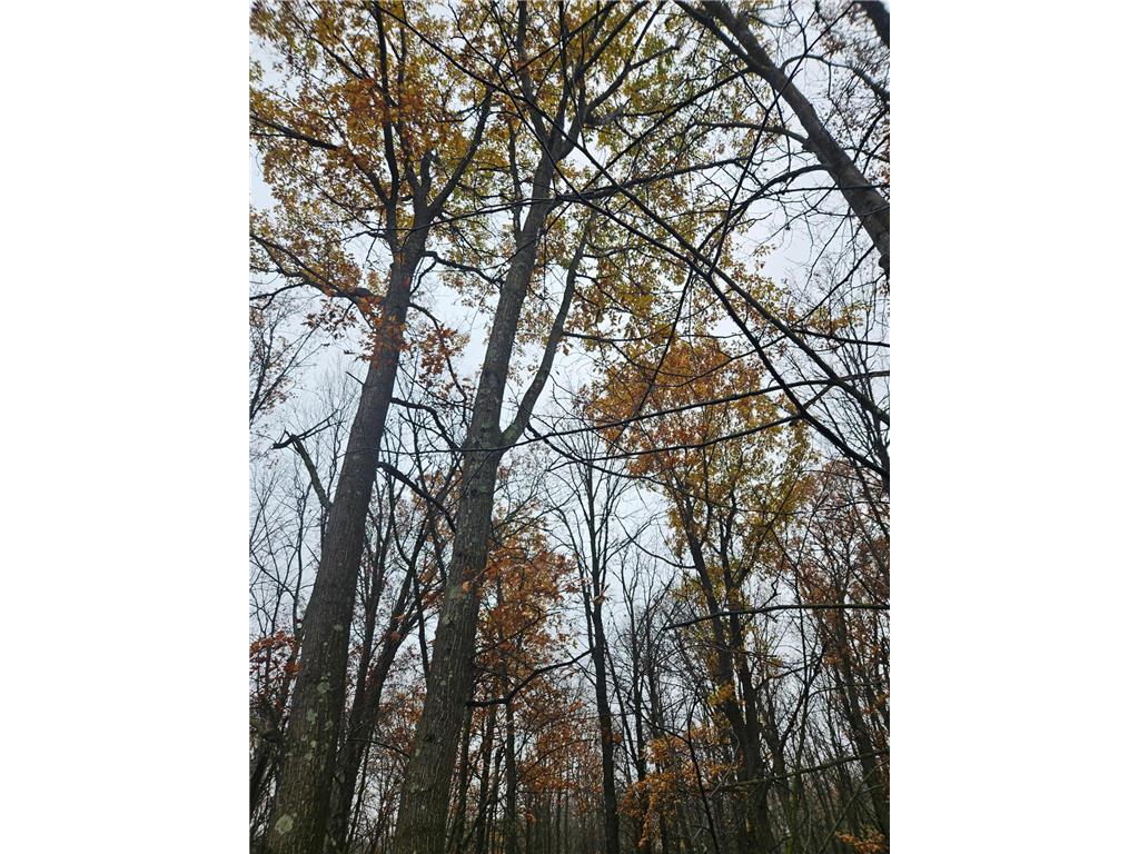 330th st 330th st Onamia MN 56359 6807868 image23