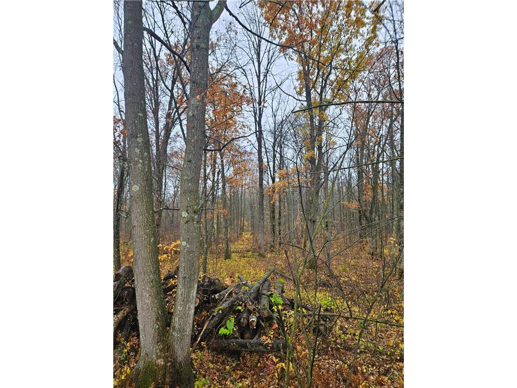 330th st 330th st Onamia MN 56359 6807868 image24