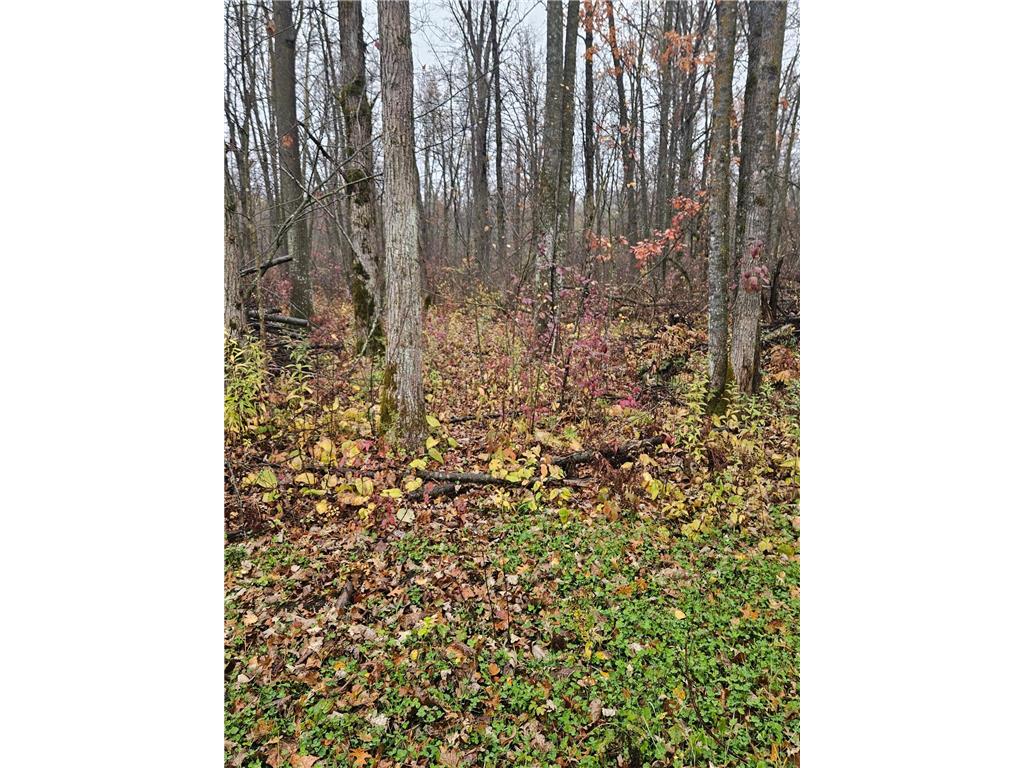 330th st 330th st Onamia MN 56359 6807868 image25