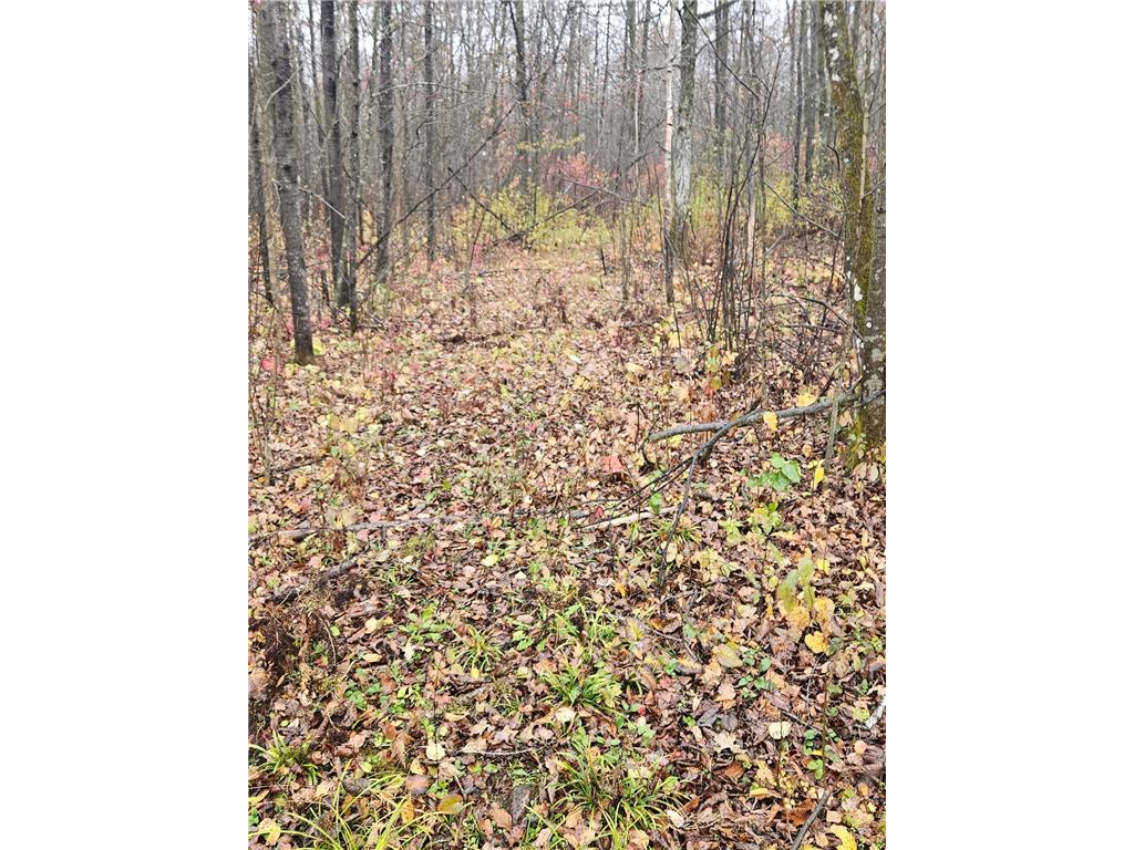 330th st 330th st Onamia MN 56359 6807868 image31