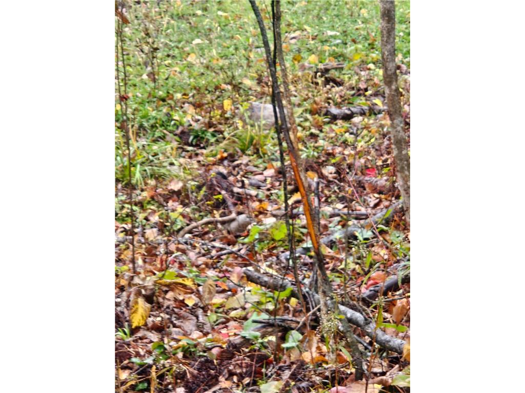 330th st 330th st Onamia MN 56359 6807868 image33