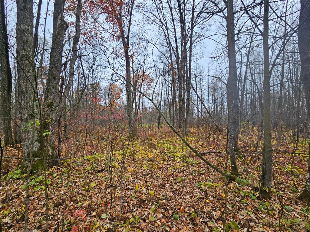 330th st 330th st Onamia MN 56359 6807868 image37