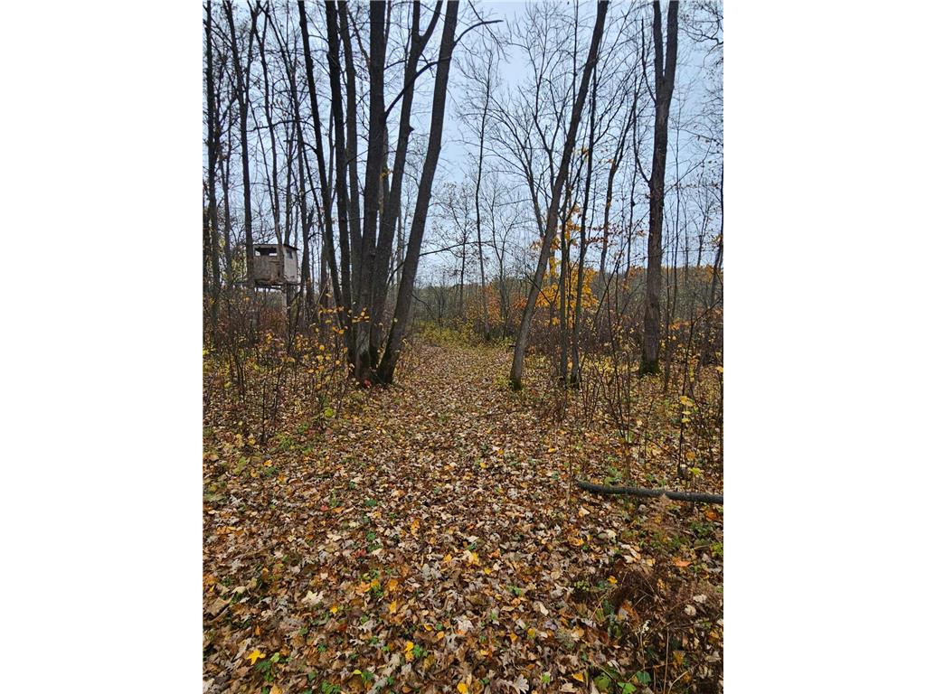 330th st 330th st Onamia MN 56359 6807868 image43