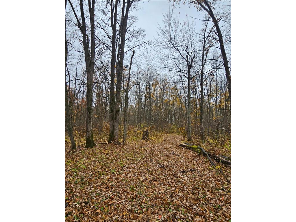 330th st 330th st Onamia MN 56359 6807868 image47