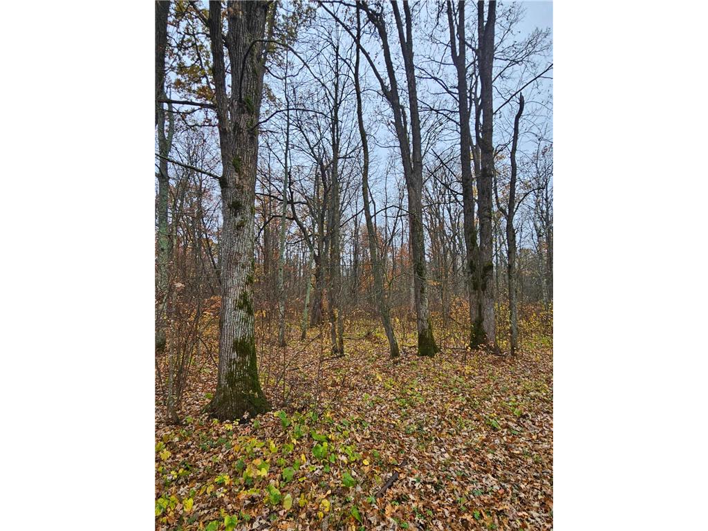 330th st 330th st Onamia MN 56359 6807868 image48