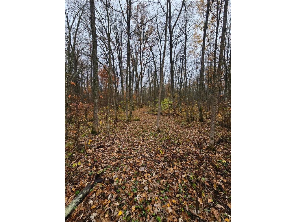 330th st 330th st Onamia MN 56359 6807868 image50