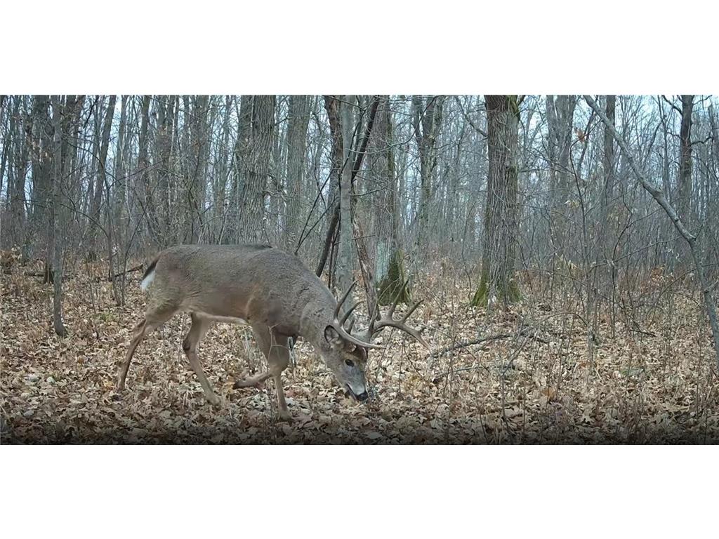 330th st 330th st Onamia MN 56359 6807868 image56