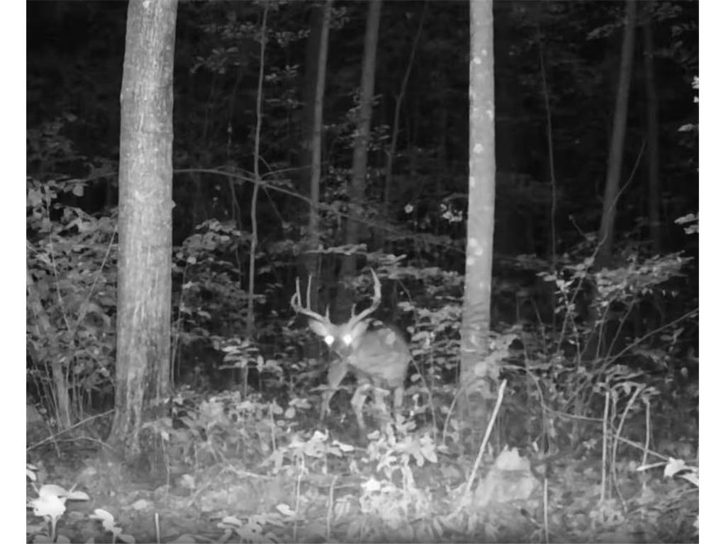 330th st 330th st Onamia MN 56359 6807868 image58