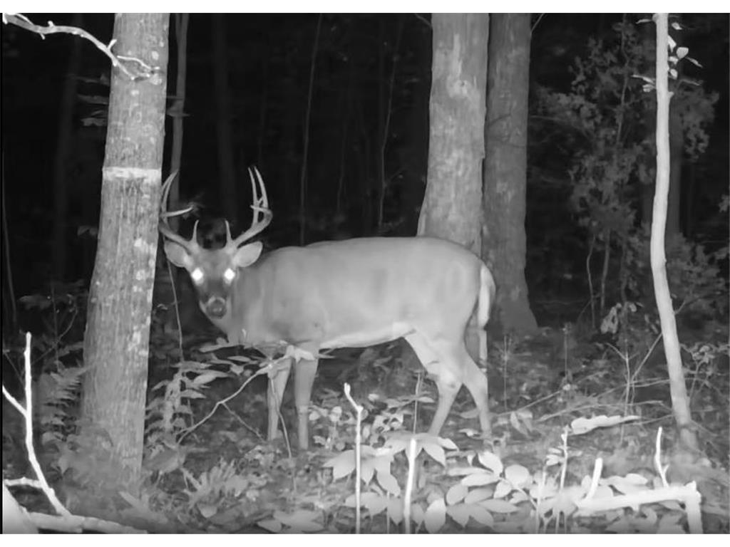 330th st 330th st Onamia MN 56359 6807868 image59