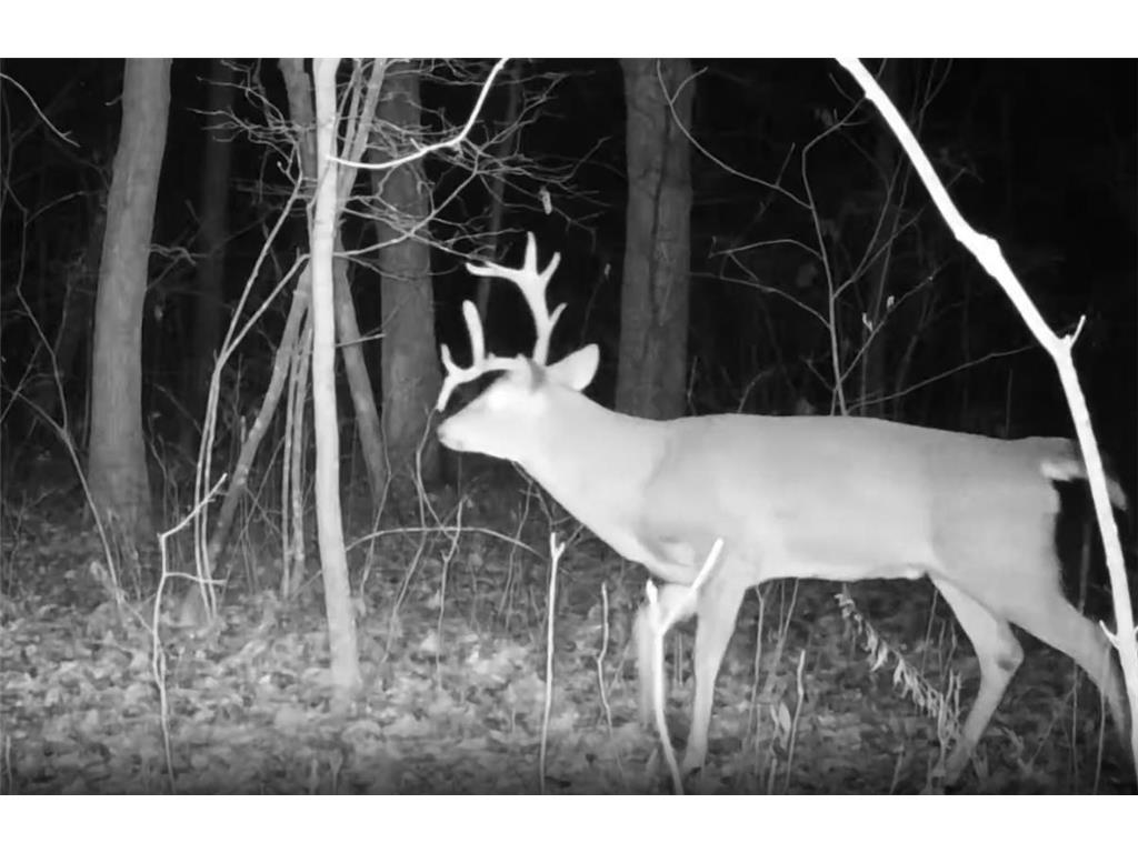 330th st 330th st Onamia MN 56359 6807868 image63