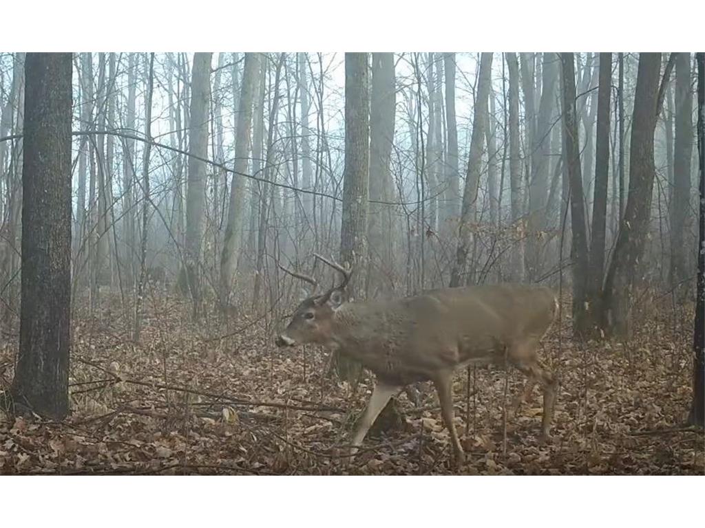 330th st 330th st Onamia MN 56359 6807868 image64