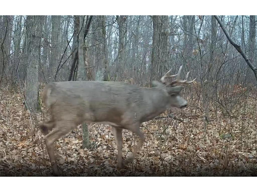 330th st 330th st Onamia MN 56359 6807868 image65