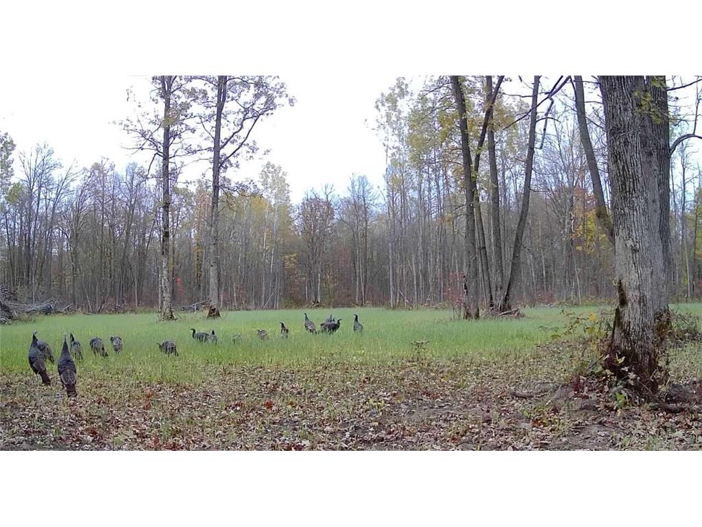 330th st 330th st Onamia MN 56359 6807868 image68