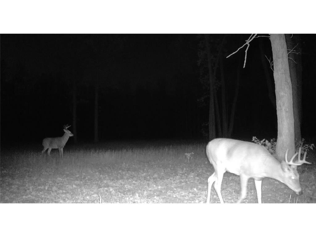 330th st 330th st Onamia MN 56359 6807868 image70