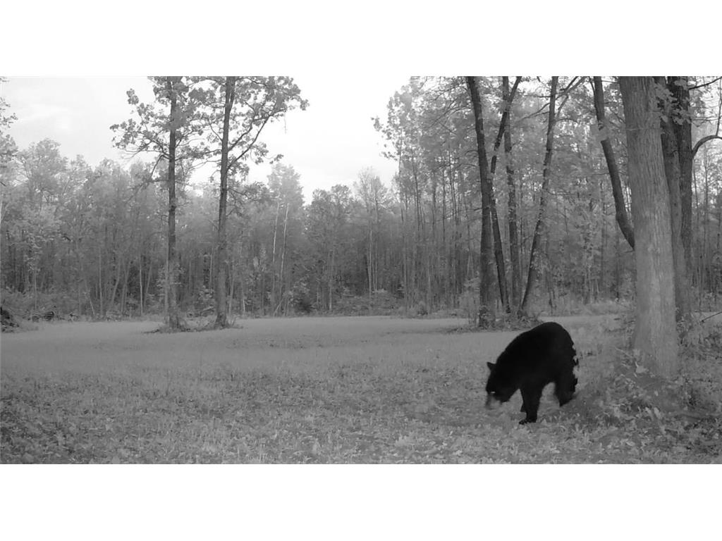 330th st 330th st Onamia MN 56359 6807868 image72