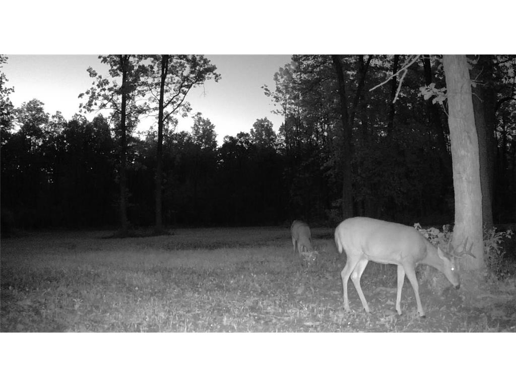 330th st 330th st Onamia MN 56359 6807868 image73