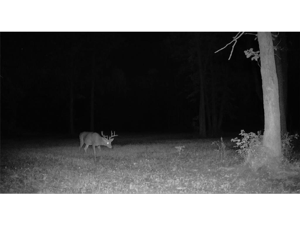 330th st 330th st Onamia MN 56359 6807868 image75