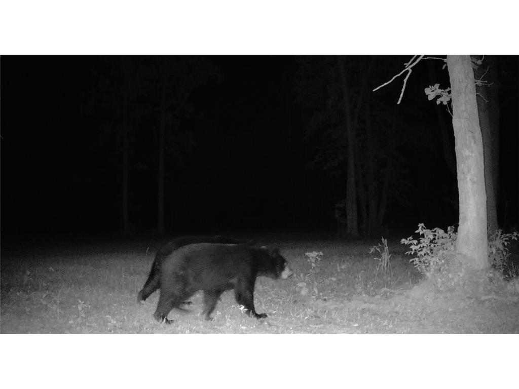 330th st 330th st Onamia MN 56359 6807868 image77