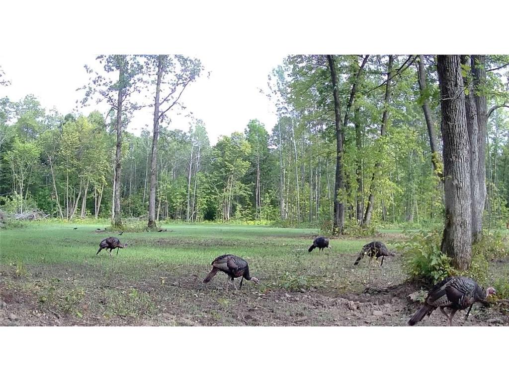 330th st 330th st Onamia MN 56359 6807868 image78