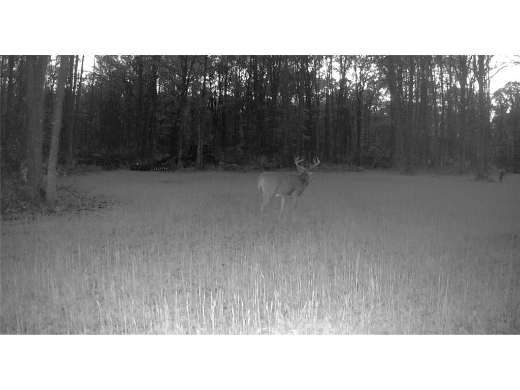 330th st 330th st Onamia MN 56359 6807868 image79