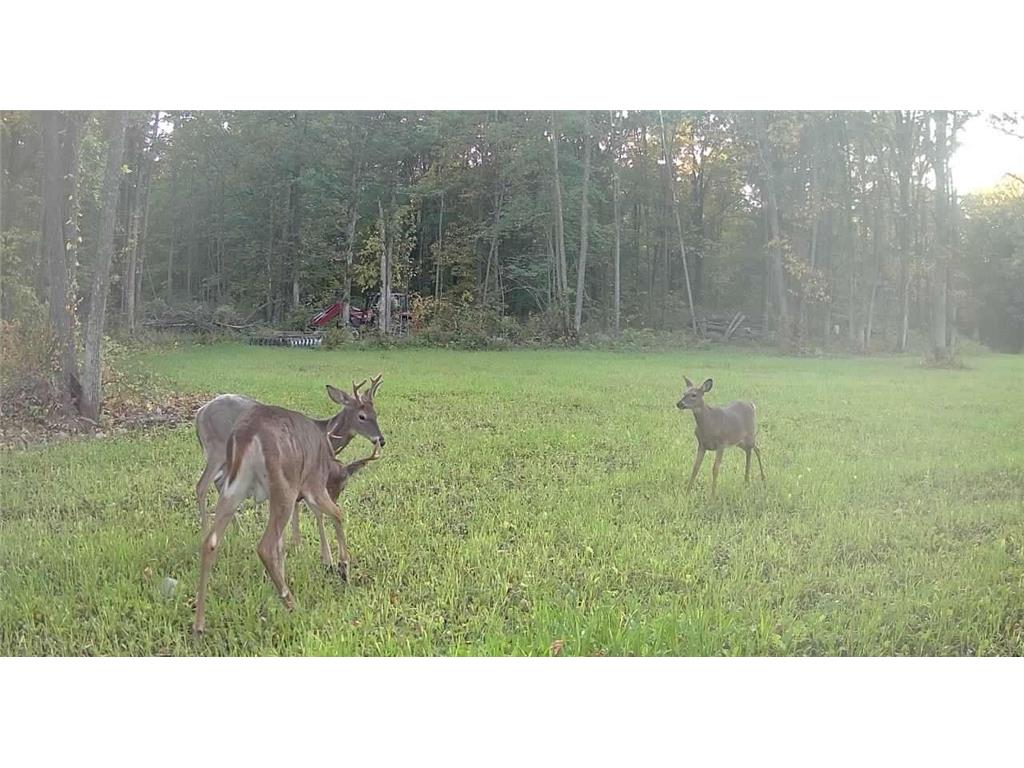 330th st 330th st Onamia MN 56359 6807868 image80