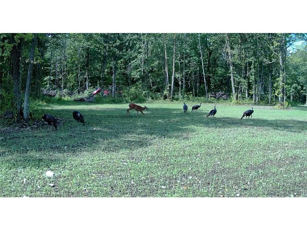 330th st 330th st Onamia MN 56359 6807868 image81