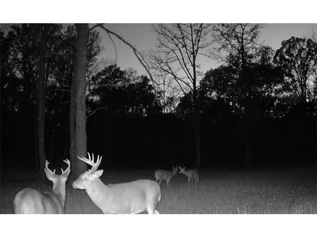 330th st 330th st Onamia MN 56359 6807868 image83