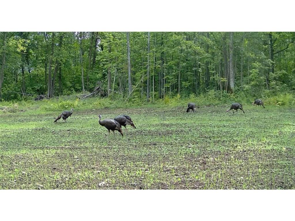 330th st 330th st Onamia MN 56359 6807868 image89