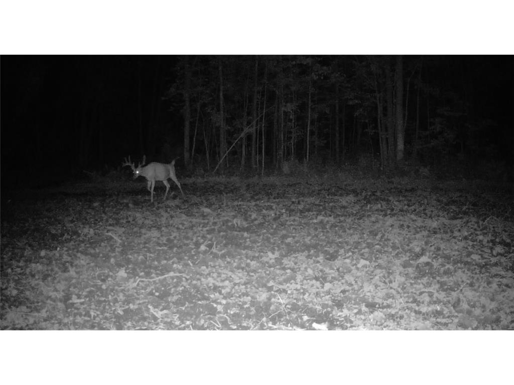 330th st 330th st Onamia MN 56359 6807868 image91