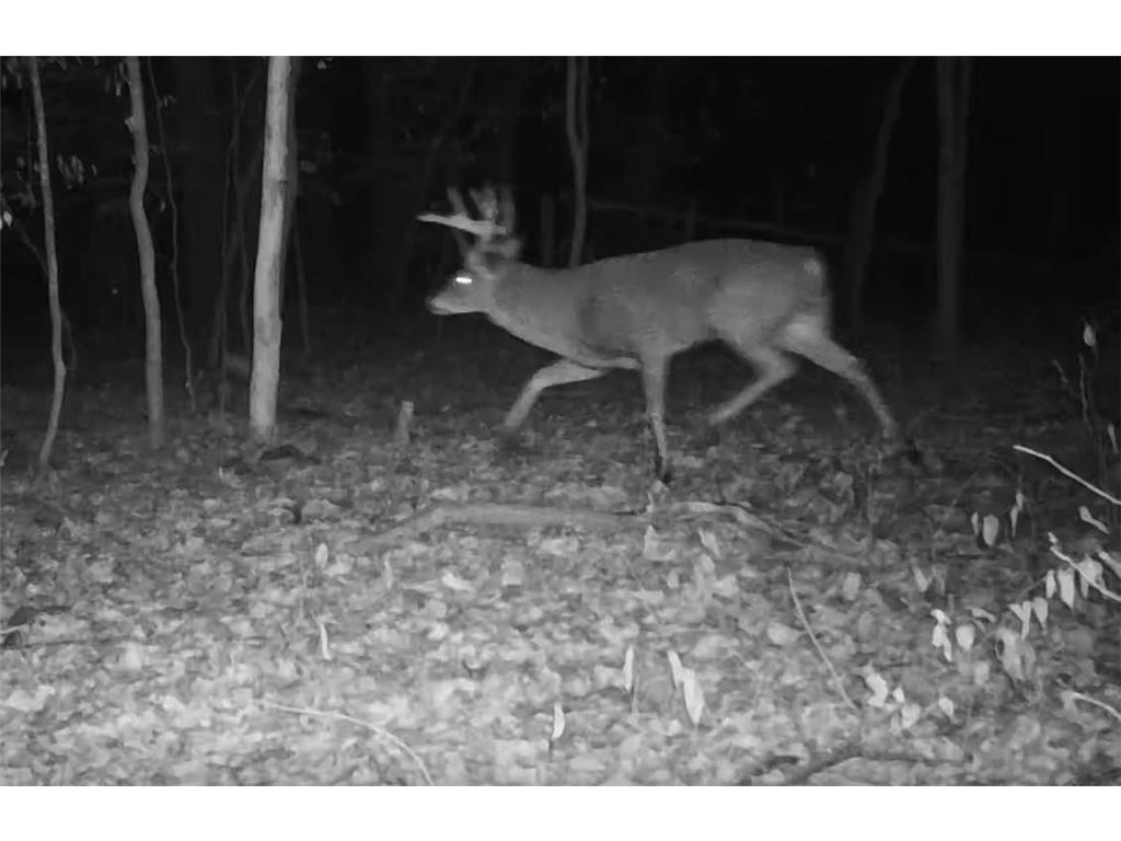 330th street 330th street Onamia MN 56359 6808065 image103