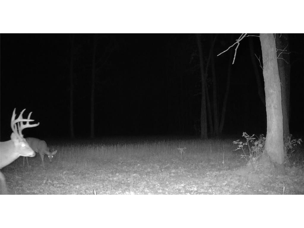 330th street 330th street Onamia MN 56359 6808065 image104