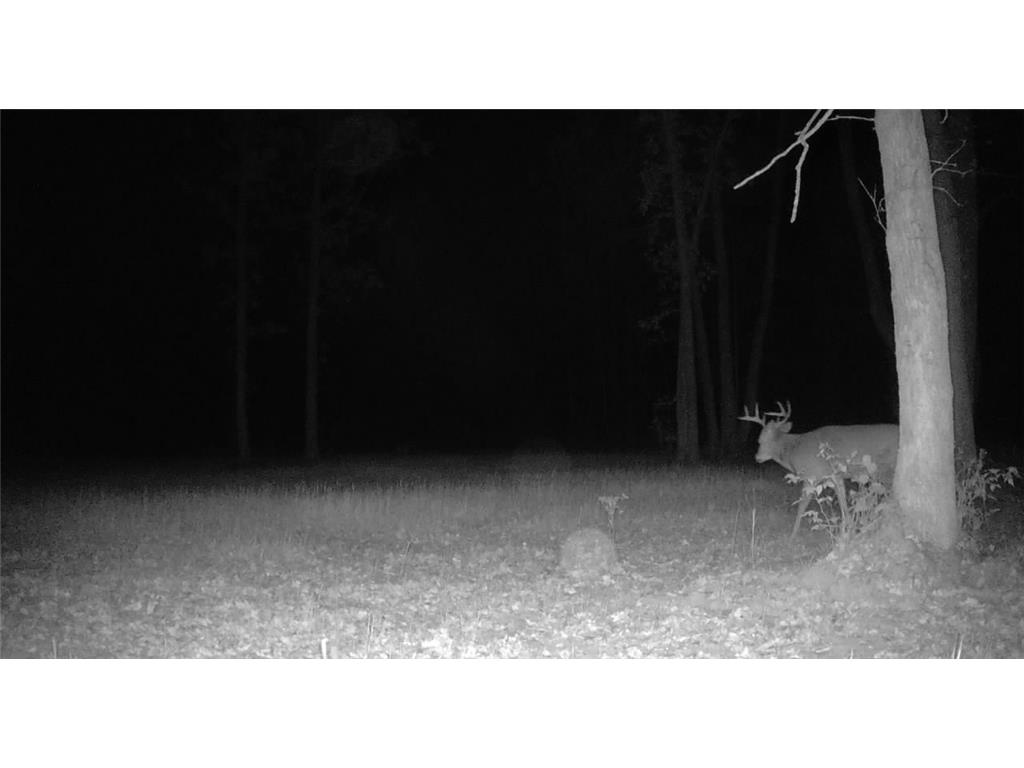 330th street 330th street Onamia MN 56359 6808065 image106