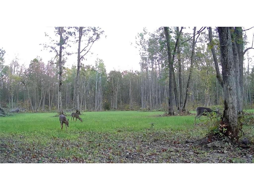 330th street 330th street Onamia MN 56359 6808065 image108